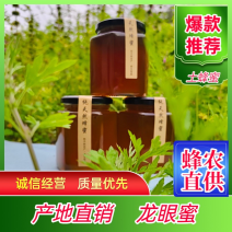 【优】广西中蜂土蜂蜜蜂蜜龙眼蜜基地直发欢迎联系