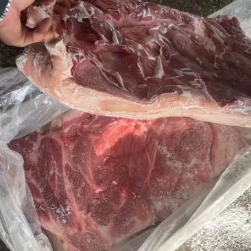 后上肉