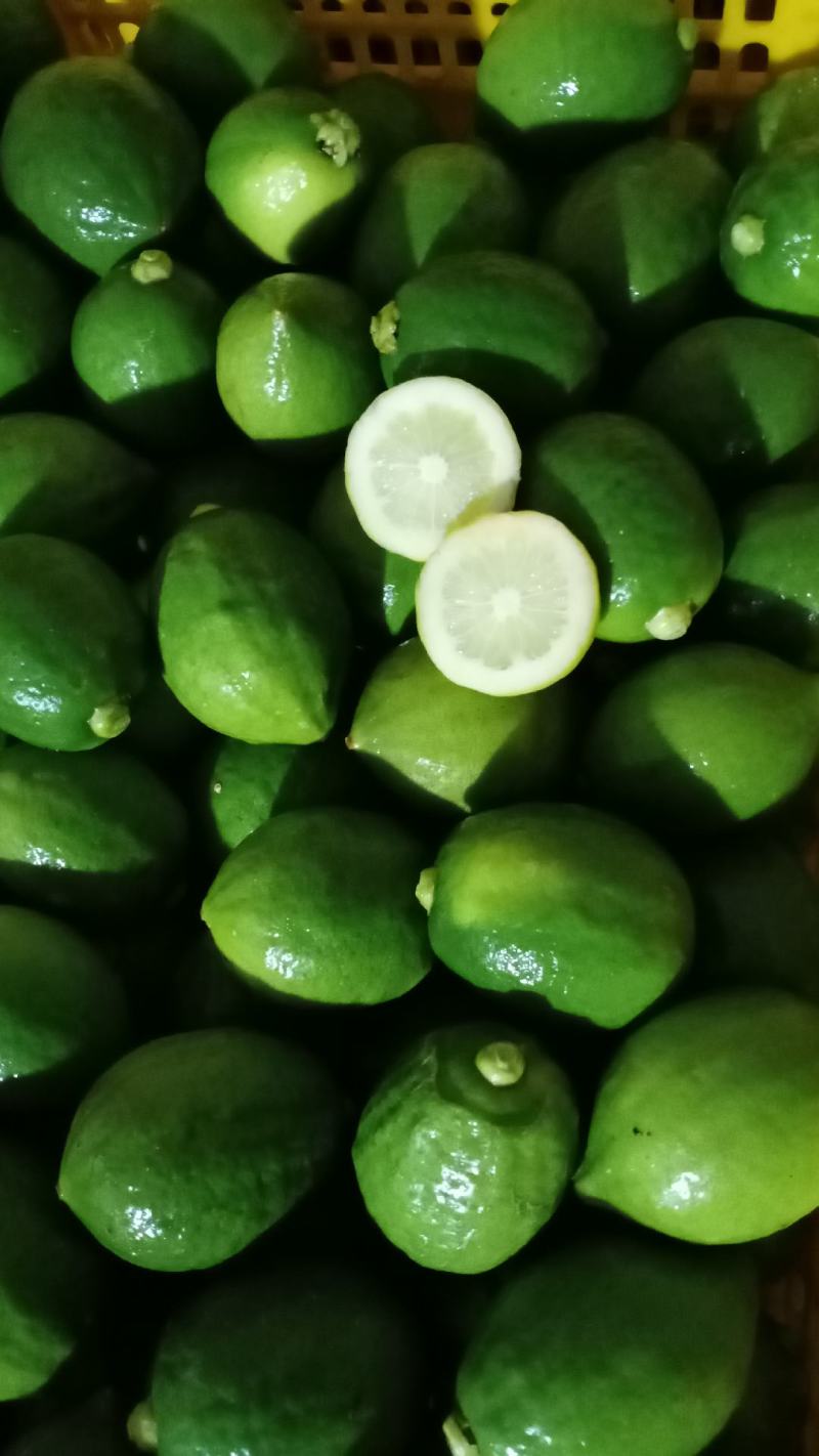 无籽，广东香水柠檬，香味十足，一级果，二级果，黄果都有货