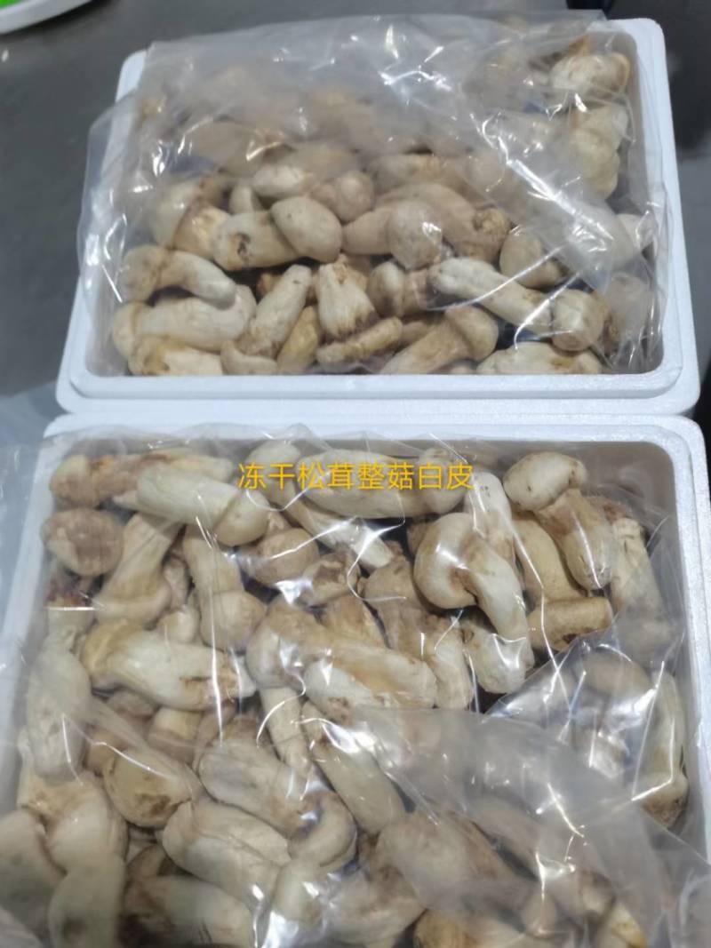 松茸源头货品质保证规格齐全现有货量大从优顺丰包邮