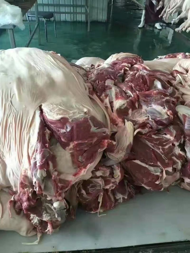 去骨带皮羊板肉羊腿肉纯干饭店酒店羊汤馆炒菜炖锅