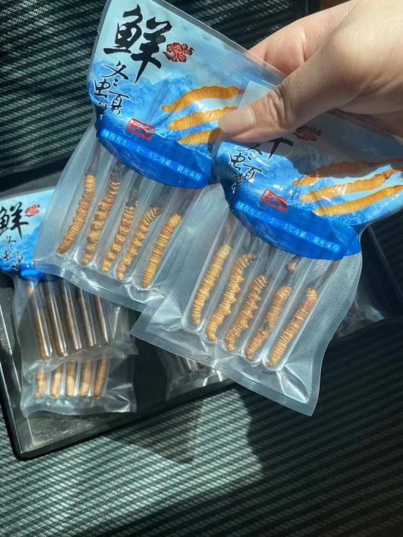 冬虫夏草产地直发规格齐全欢迎选购野生。