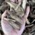 木香无硫云木香蜜香木香个木香片各种规格