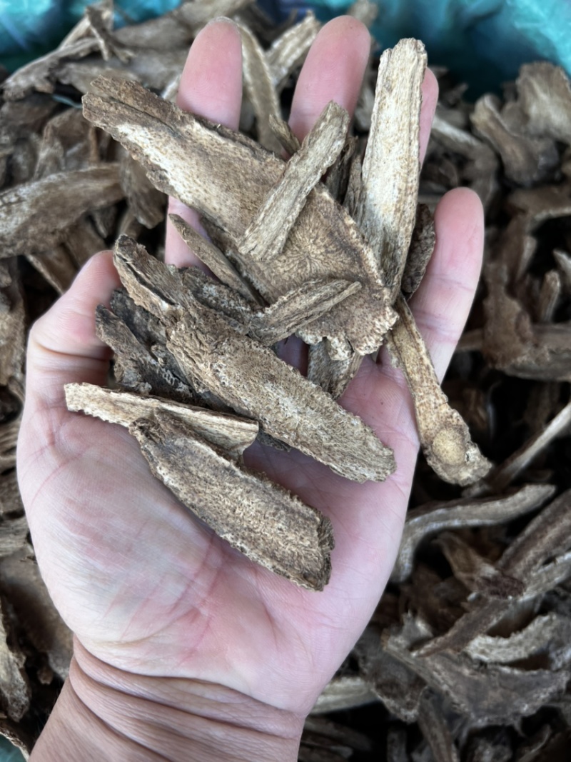 木香无硫云木香蜜香木香个木香片各种规格