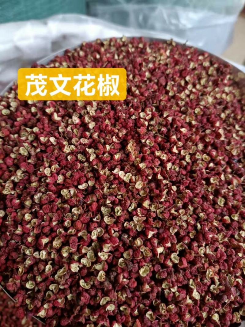 四川茂汶大红袍特级，麻味足，香味好，产地直销，大量有货