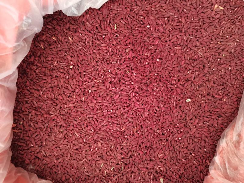 红曲米红曲福建古田发酵红曲米大货供应量大从优