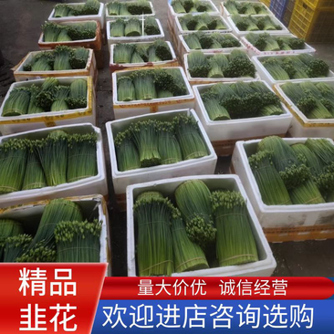 【推荐】精品韭菜花可供平台出港东南亚超市保质保量