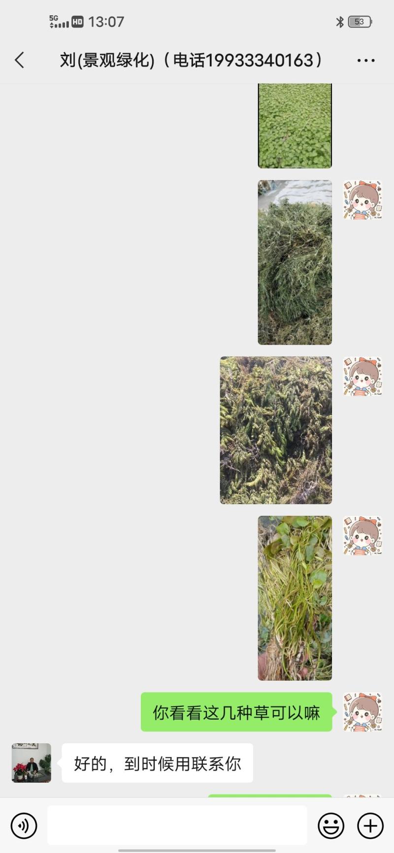 蔬菜，，水草