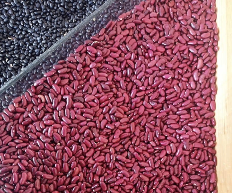 红豆厂家批发红豆红小豆精品红豆优质红豆