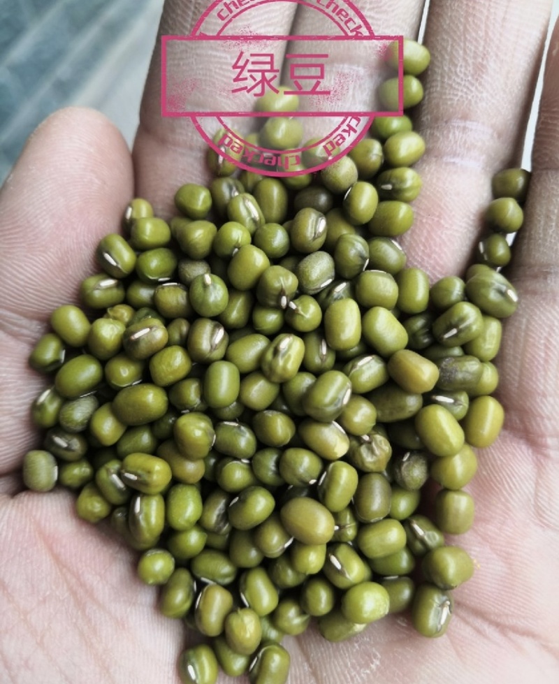 红豆厂家批发红豆红小豆精品红豆优质红豆