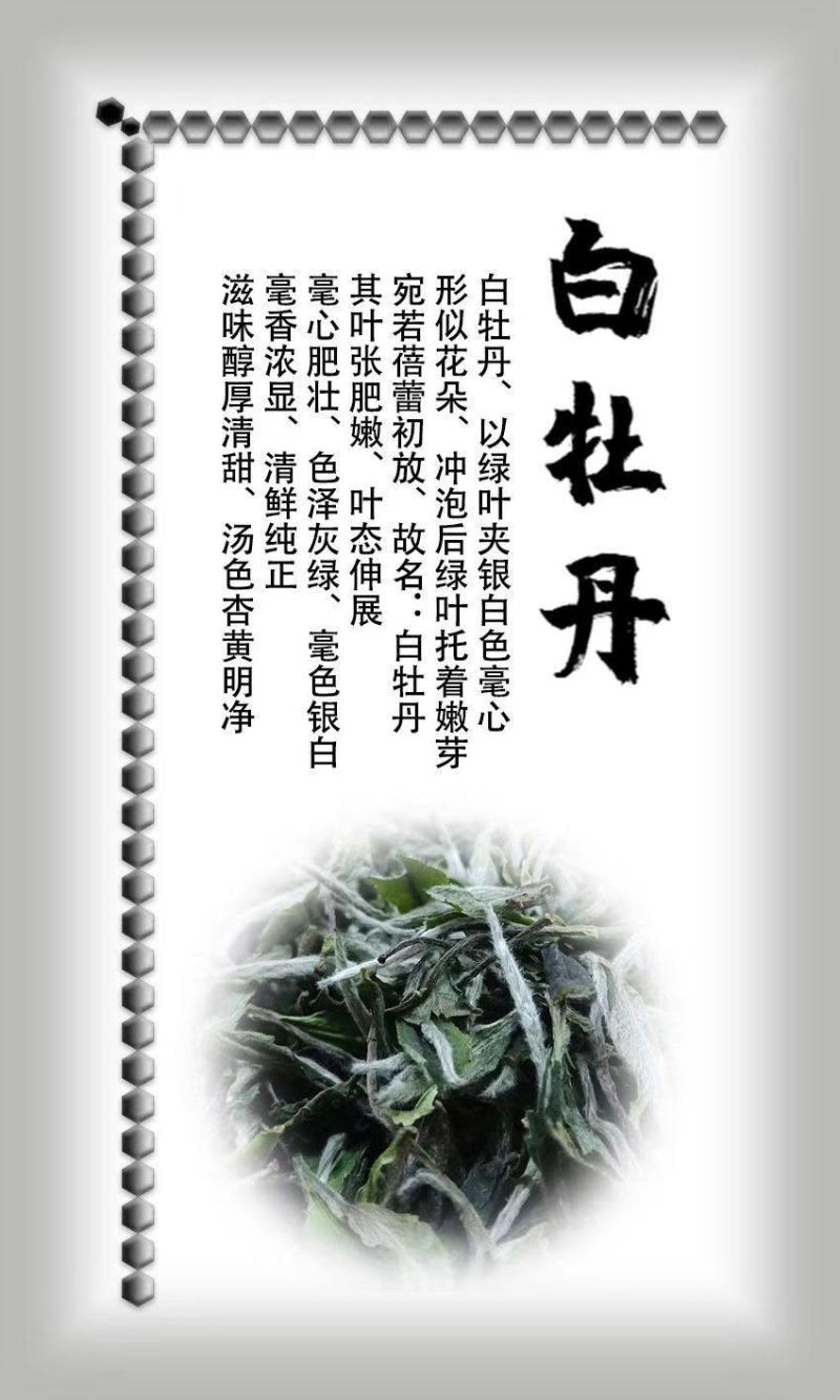 福鼎白茶2020年一级白牡丹饼300克牡丹饼