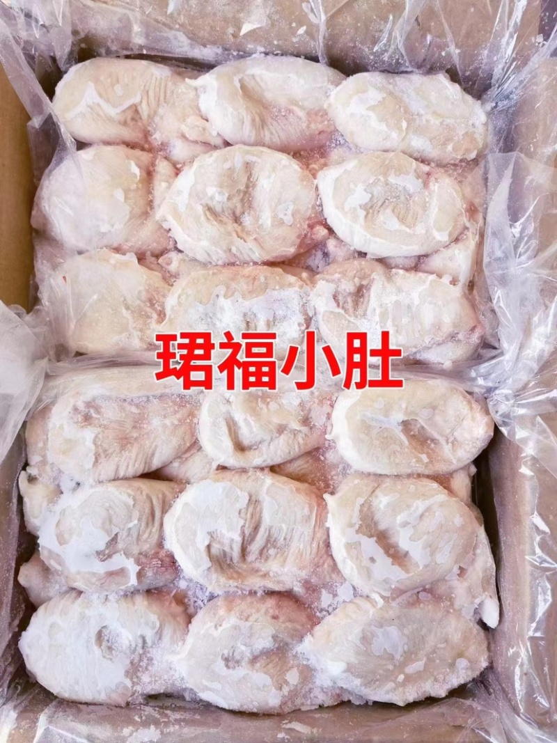 小肚珺福小肚猪小肚工厂直销，量大优惠