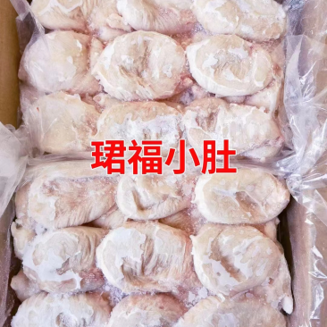 小肚珺福小肚猪小肚工厂直销，量大优惠