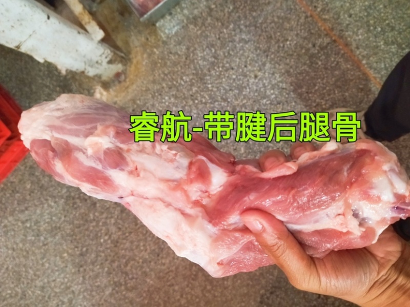 睿航带腱前腿骨，前腿骨，前棒骨，棒骨，骨棒，前骨棒