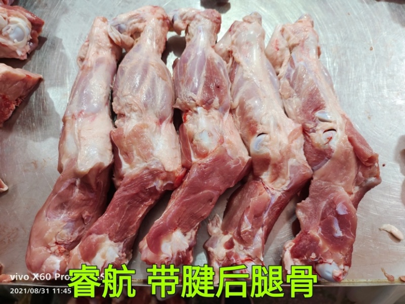 睿航带腱前腿骨，前腿骨，前棒骨，棒骨，骨棒，前骨棒