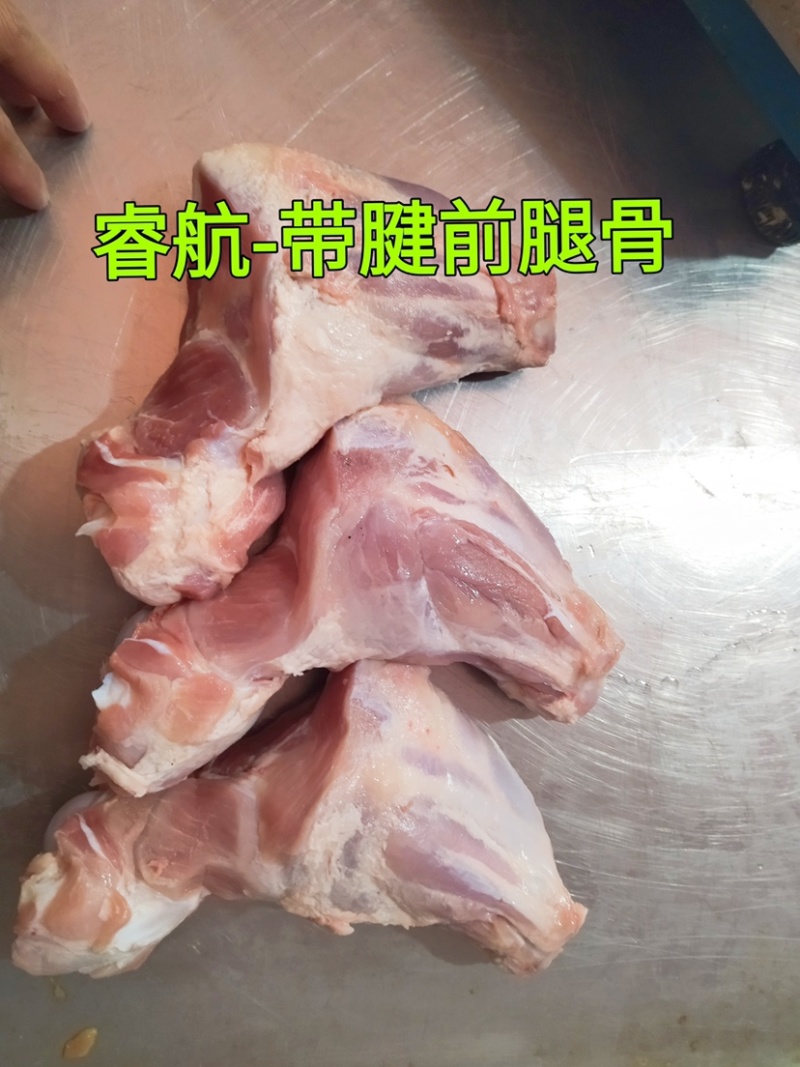睿航带腱前腿骨，前腿骨，前棒骨，棒骨，骨棒，前骨棒