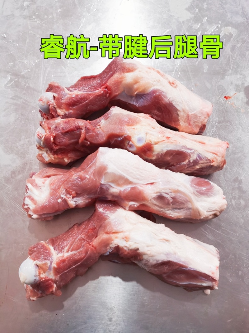 睿航带腱前腿骨，前腿骨，前棒骨，棒骨，骨棒，前骨棒