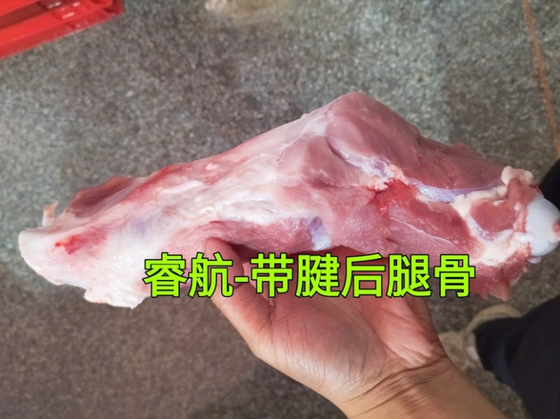 睿航带腱前腿骨，前腿骨，前棒骨，棒骨，骨棒，前骨棒