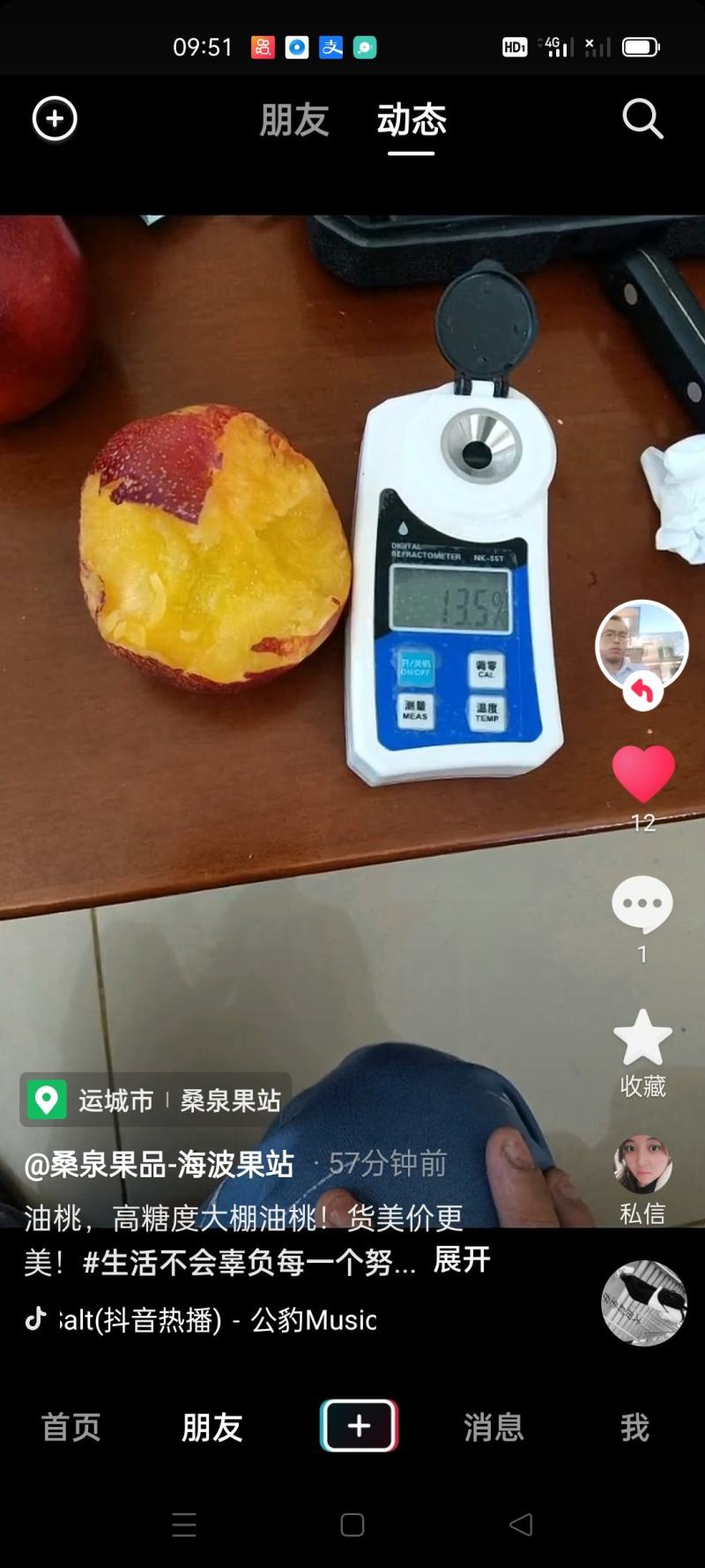中油四号大棚油桃