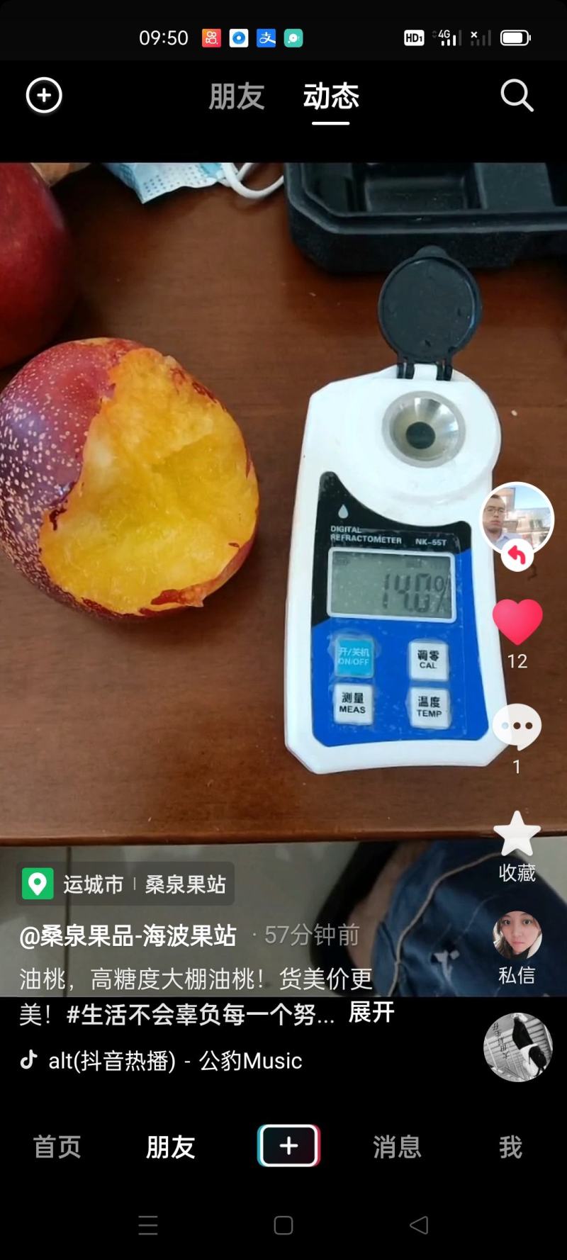 中油四号大棚油桃