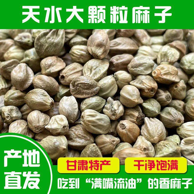甘肃特产天水香麻子人吃火麻子大颗粒新货食用秦安麻子籽鸟粮