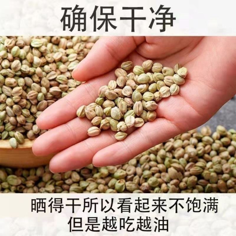 甘肃特产天水香麻子人吃火麻子大颗粒新货食用秦安麻子籽鸟粮