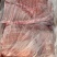睿航加厚肋排，肋排，加厚肋排，排骨，加厚排骨，毛排