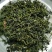 恩施特产富硒绿茶芭蕉侗族乡富硒茶烘青绿茶高山云雾茶清香