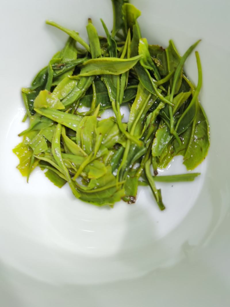 恩施特产富硒绿茶芭蕉侗族乡富硒茶烘青绿茶高山云雾茶清香