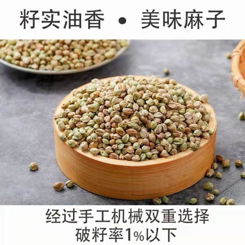 甘肃特产天水香麻子人吃火麻子大颗粒新货食用秦安麻子籽鸟粮