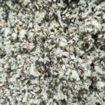 新疆棉壳，一手货源，保质保量，包邮到家