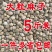 大颗粒麻子鸟食鸟粮鹦鹉粮鸽粮麻籽火麻仁仓鼠粮一件5斤包邮