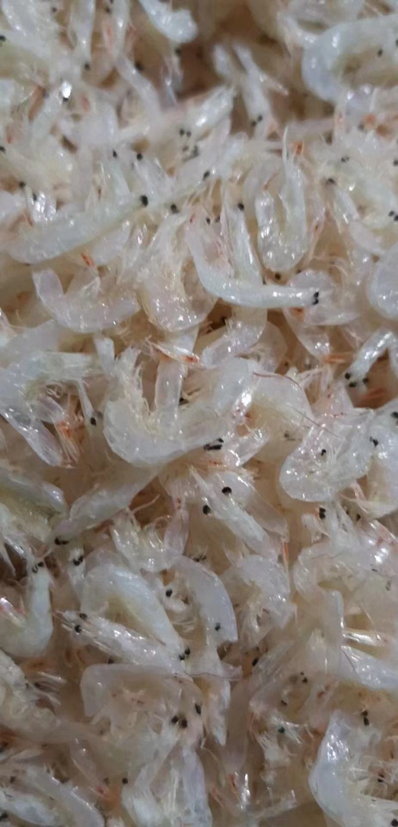 虾皮供应，盐度、干度、质量可控，货源稳定！欢迎老板电联