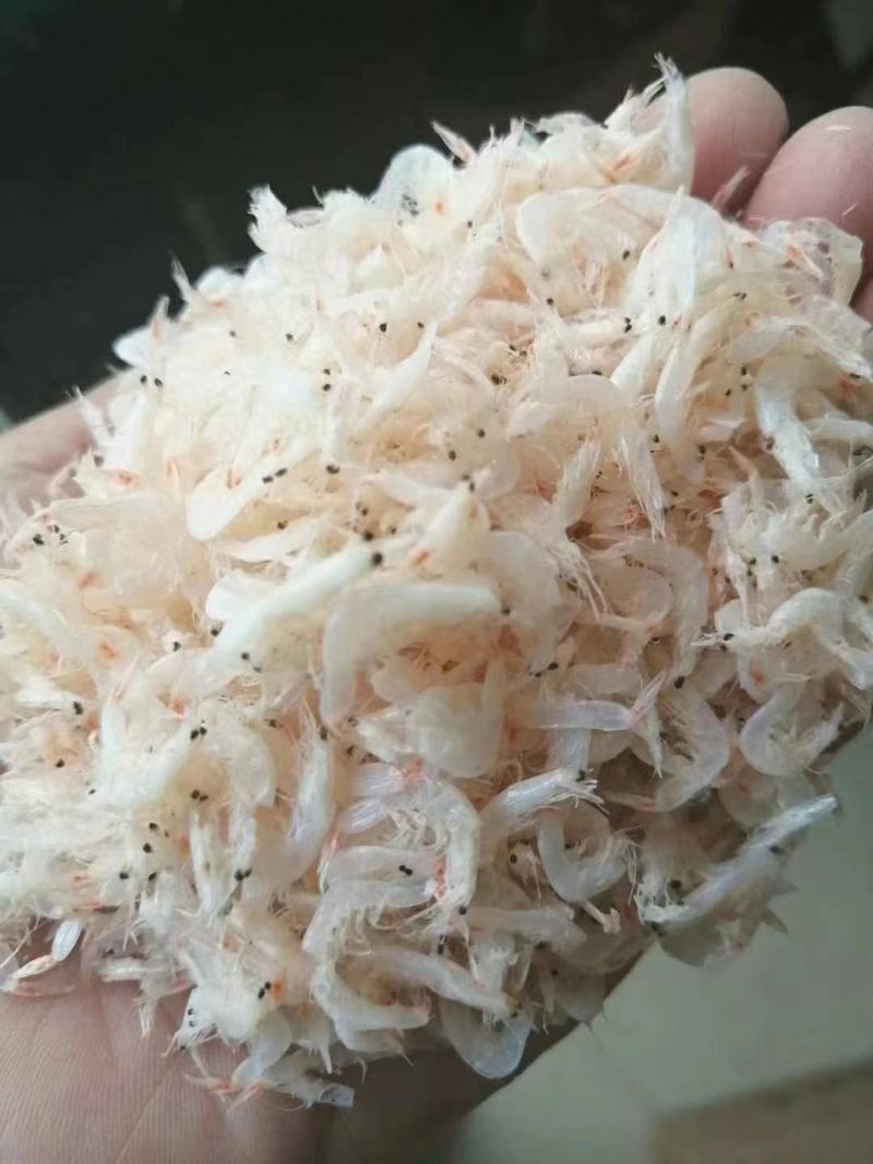 虾皮供应，盐度、干度、质量可控，货源稳定！欢迎老板电联