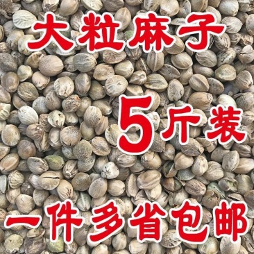 麻子麻子麻子麻子麻子麻子麻子麻子麻子