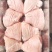 睿航后肘，后肘，肘子后肘子，冻猪后肘，速冻肘子，速冻肘子
