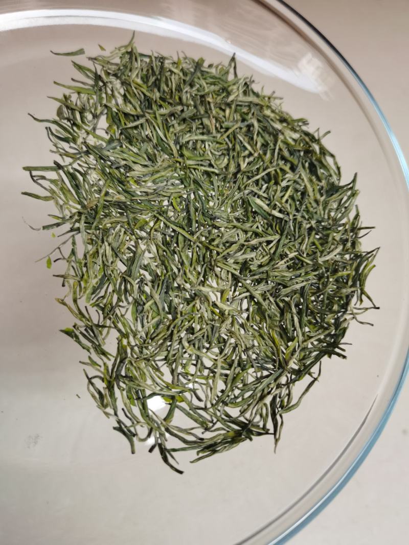恩施富硒绿茶2023明前春茶炒青绿茶毛芭蕉富硒茶清香回甘