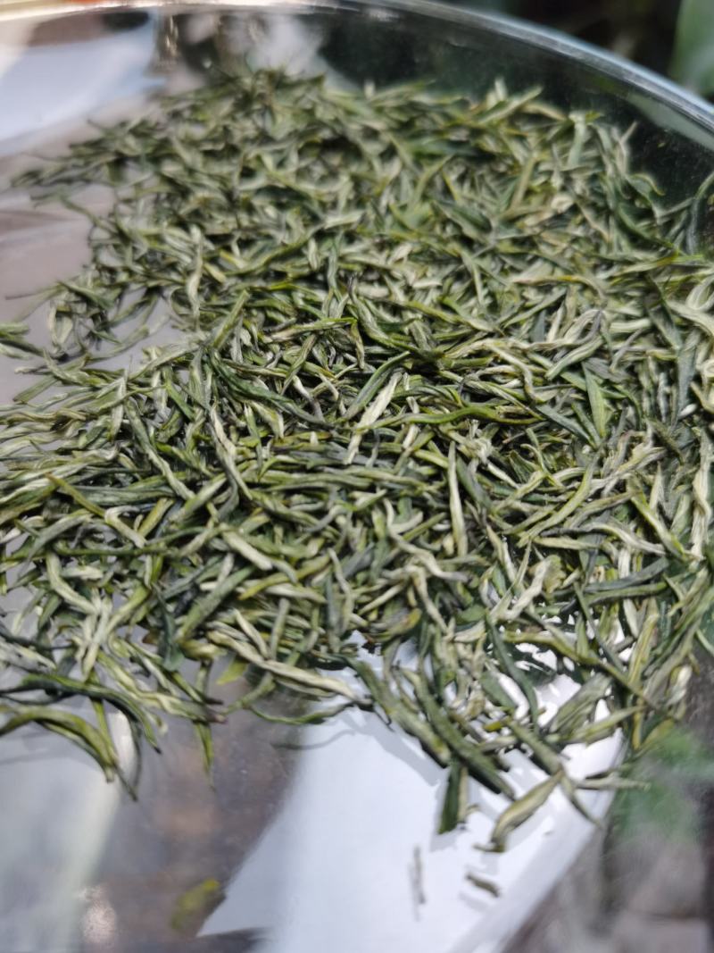 恩施富硒绿茶2023明前春茶炒青绿茶毛芭蕉富硒茶清香回甘