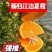秭归脐橙夏橙果园看果订货按需采摘品质保证价格实惠全国发货