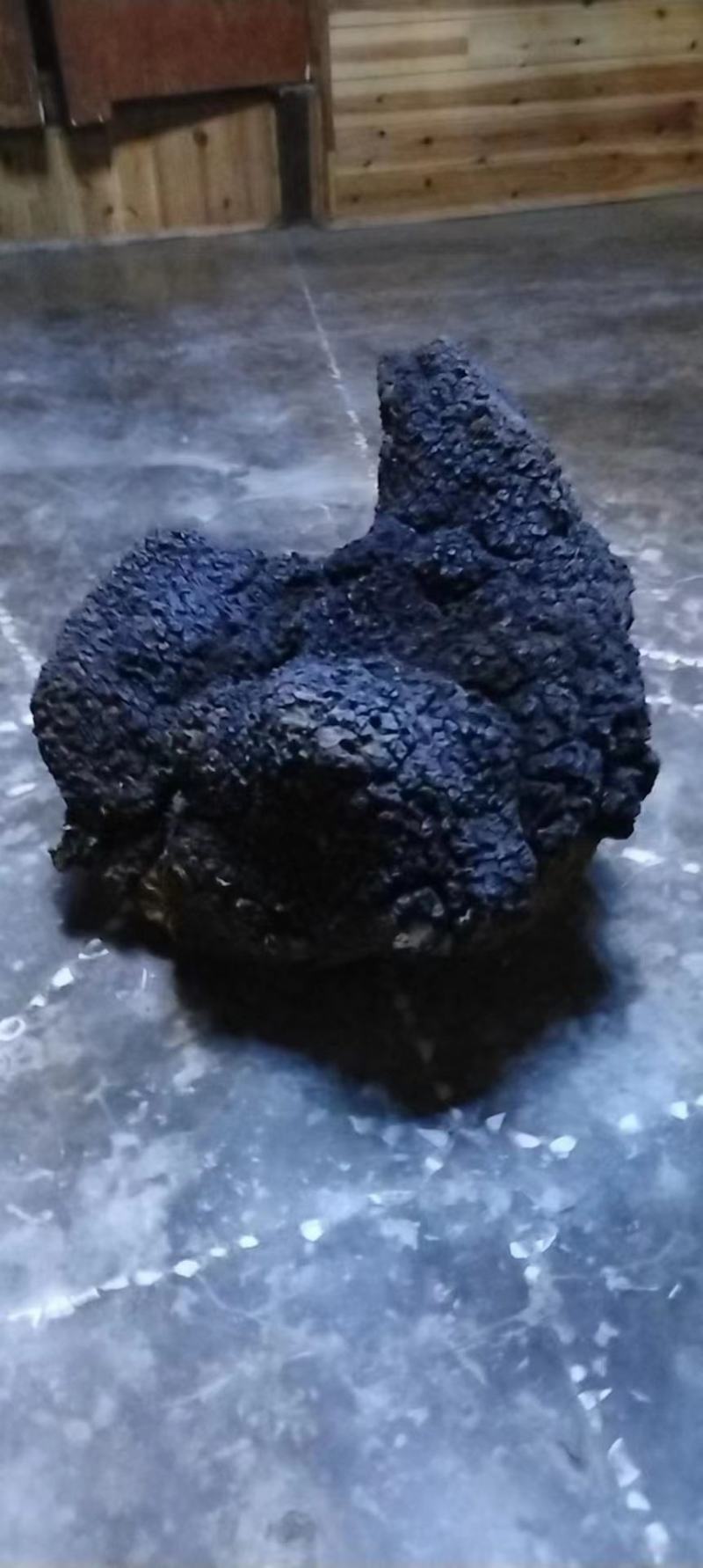 桑黄之川西高原阿坝州