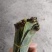 芒叶（粽叶）