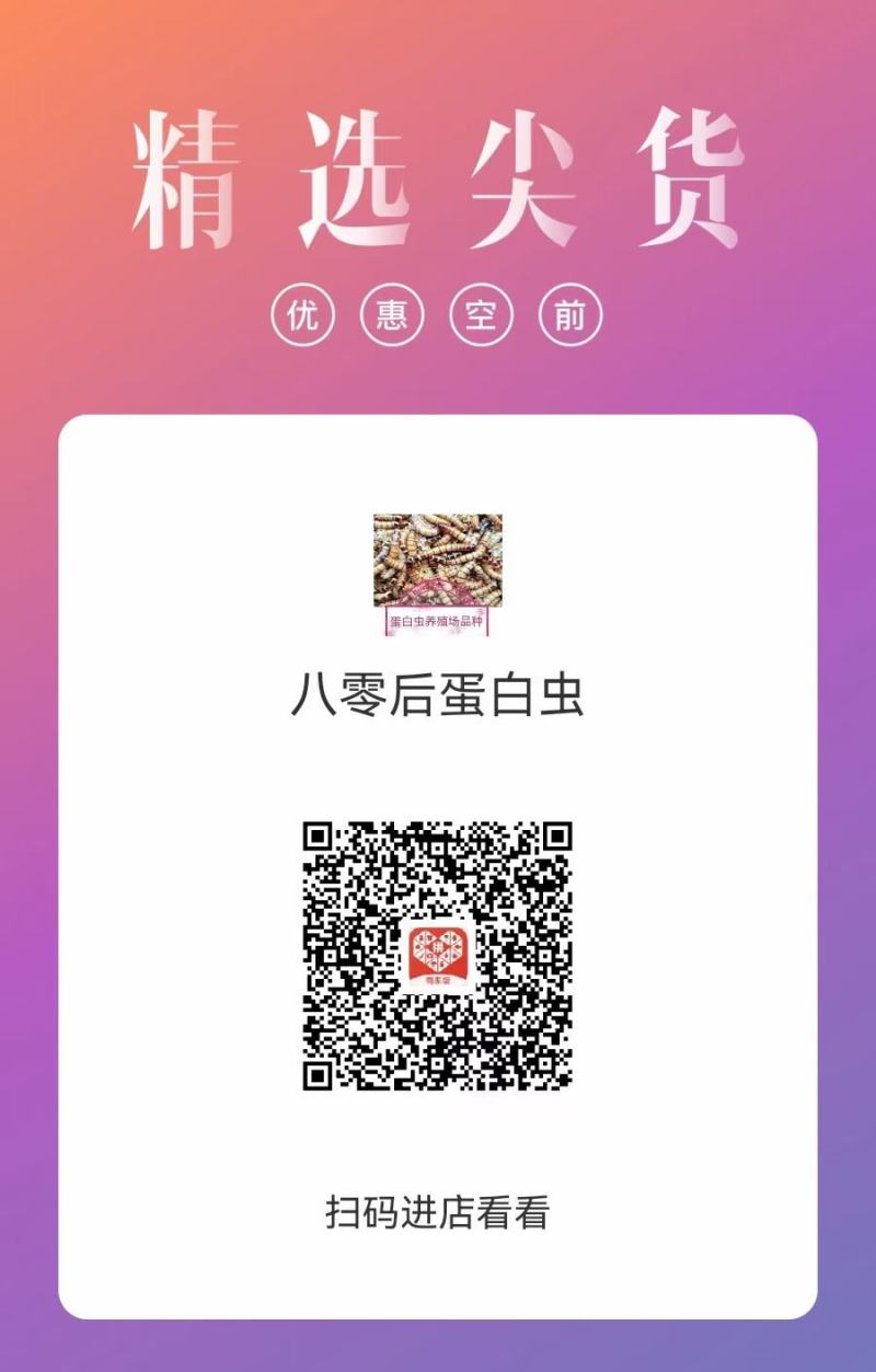人工养殖蛋白虫，价格便宜