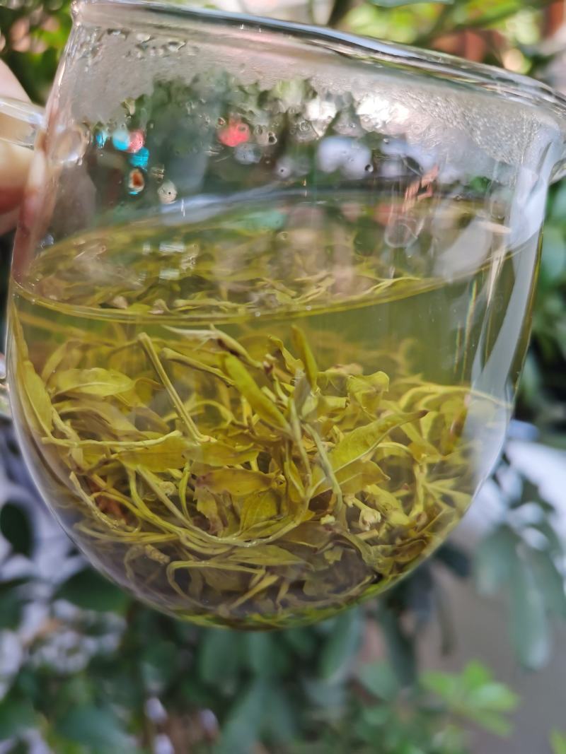 来凤藤茶2022新茶养生保健代茶饮调节三高改善亚健康清咽