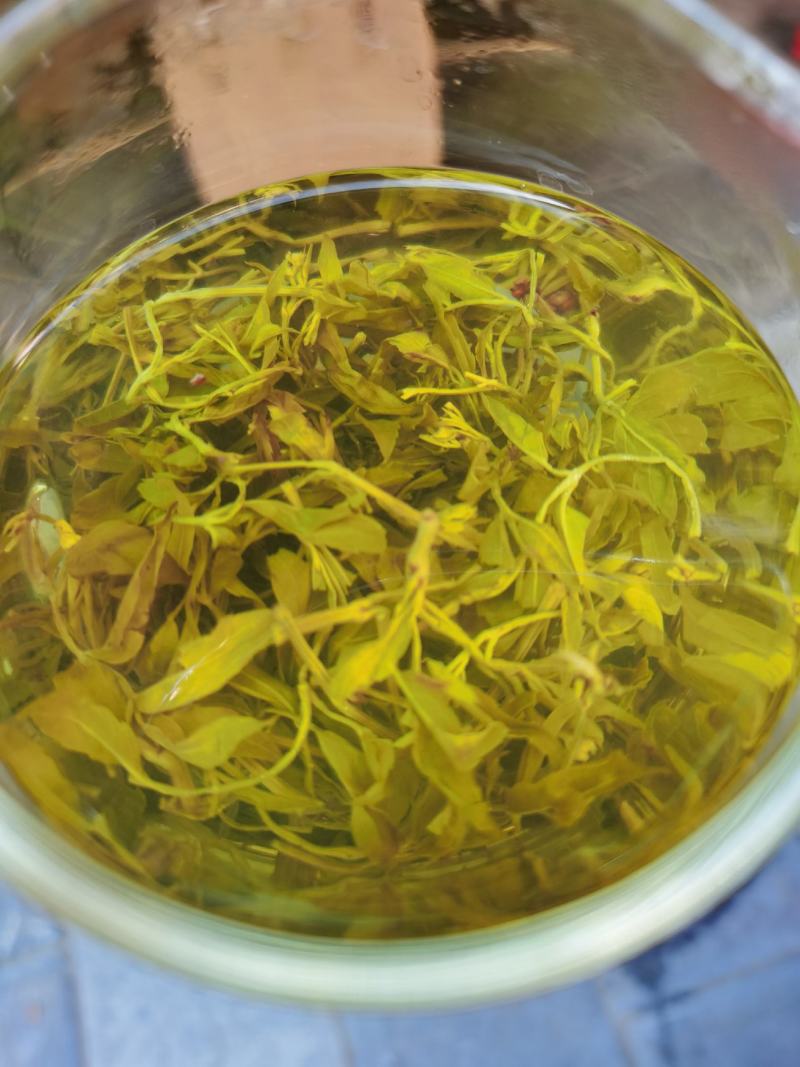 来凤藤茶2022新茶养生保健代茶饮调节三高改善亚健康清咽