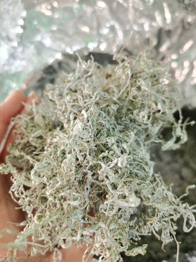 来凤藤茶2022新茶养生保健代茶饮调节三高改善亚健康清咽