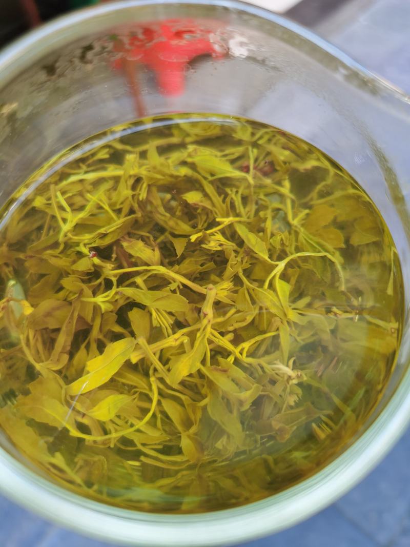 来凤藤茶2022新茶养生保健代茶饮调节三高改善亚健康清咽
