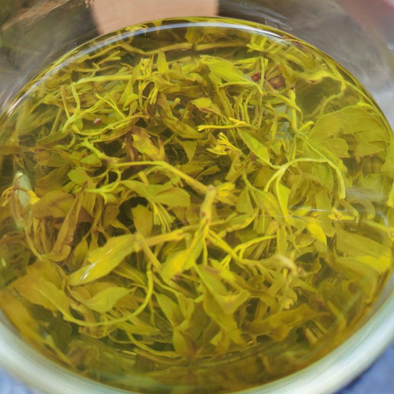来凤藤茶2022新茶养生保健代茶饮调节三高改善亚健康清咽
