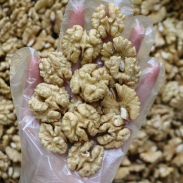 广州人特级尖白核桃仁