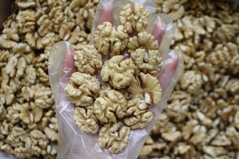 广州人特级尖白核桃仁