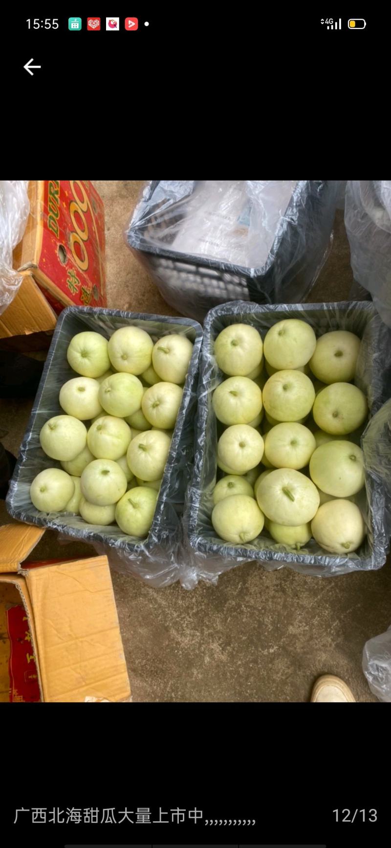 广西南宁市崇左龙州县银辉香瓜大量上市，欢迎各位老板前来